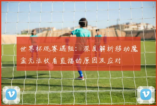 世界杯观赛遇阻：深度解析移动魔盒无法收看直播的原因及应对