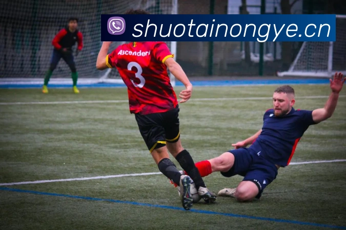 人人体育直播APP 高清赛事图